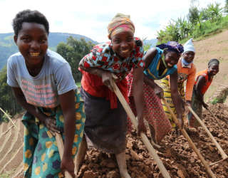 Программа ВПП ООН по обеспечению устойчивых источников средств к существованию в Рутсиро, Западная Руанда. Фото: ВПП ООН/Эмили Фреденберг